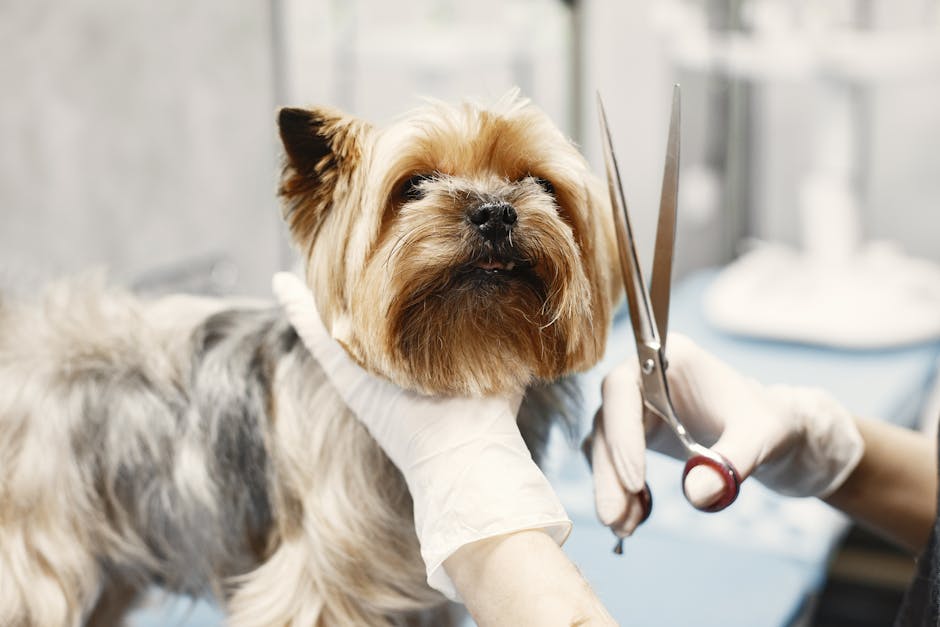 What Triggers Dog Skin Allergies?