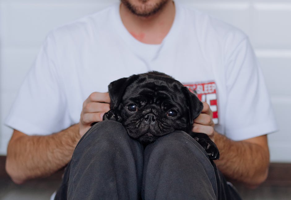 What Is Canine Diabetes and How Does It Affect Your Dog?