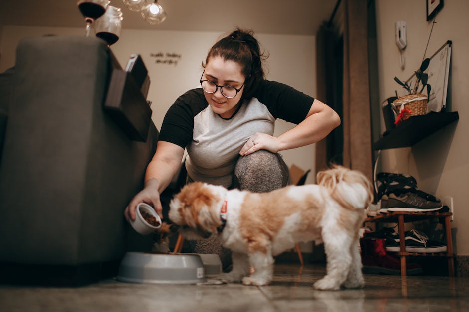 Best Vegetables and Fruits to Add to Your Dog Bowl