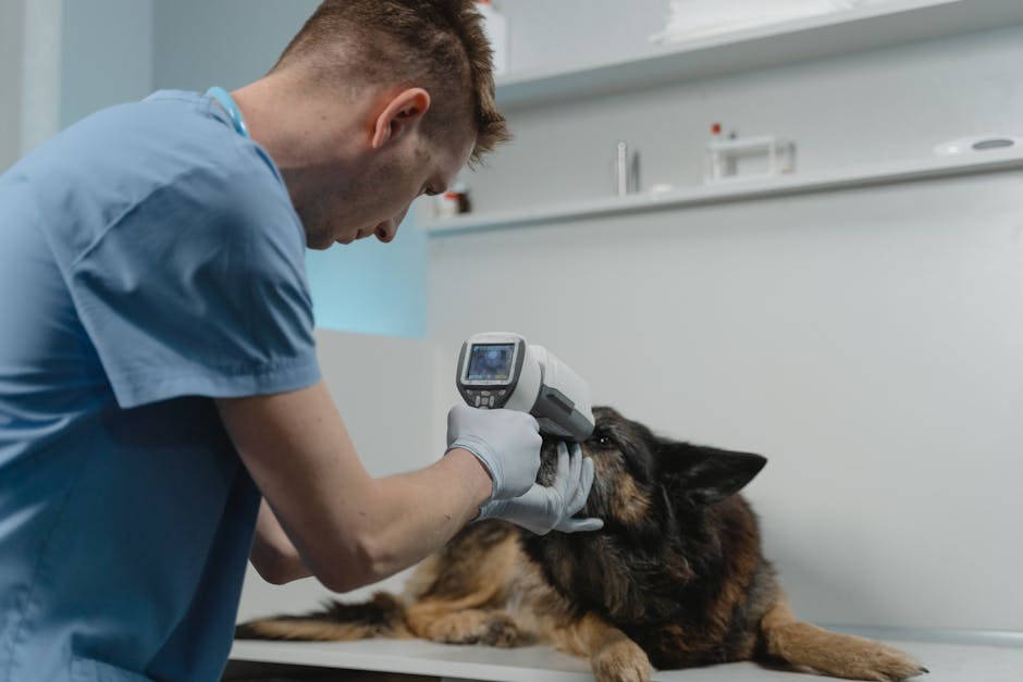 Canine Cancer Types Symptoms and Treatment Advances