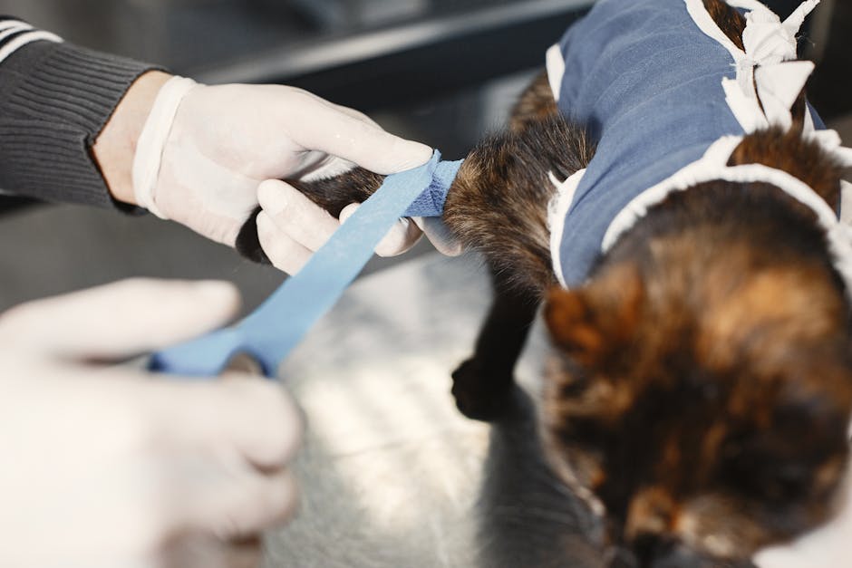 What Causes Sensitive Skin in Dogs?