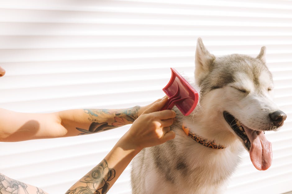 1. What Are the Best Dog Names Inspired by Fruits?