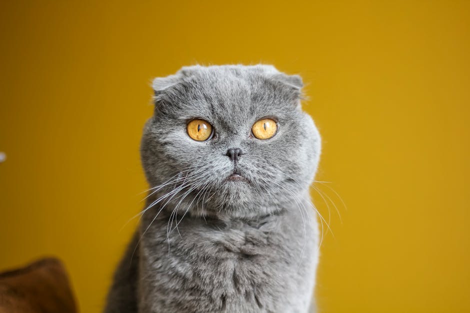 Why Does My Cat Bring Me Dead Animals Explained?