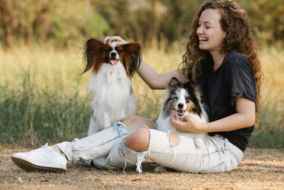 What Is a Second Veterinary Opinion and Why Might You Need One?
