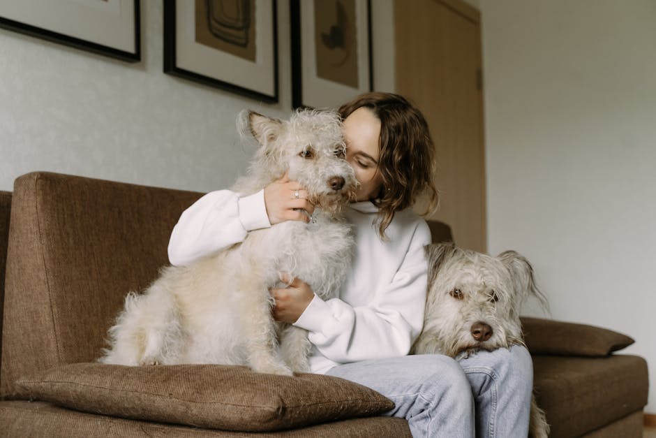 Dog Hip Dysplasia Symptoms Prevention and Treatment Options