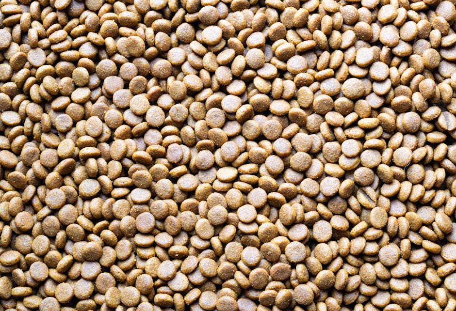 Why Low Carbohydrate Is Critical for Diabetic Cats?