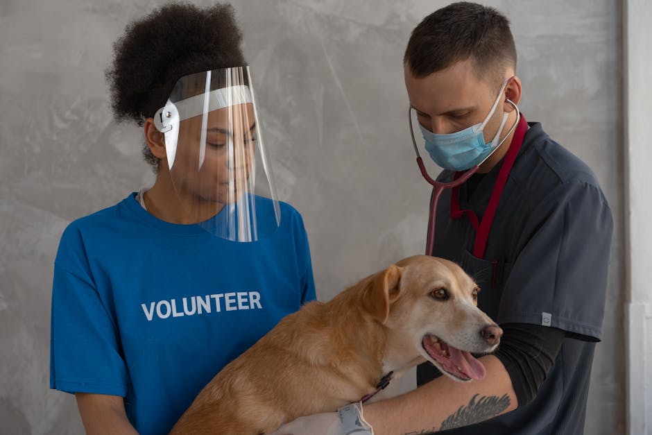 How Do Prescription Medications Work in Pets?