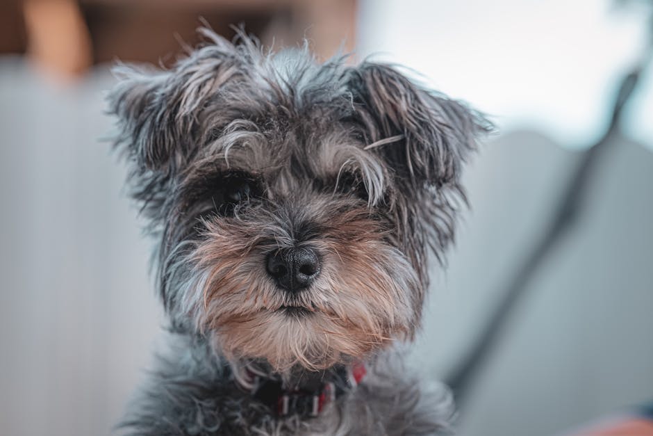 What Are the Best Tree-Inspired Dog Names?