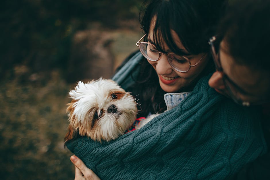 How Can You Prepare Your Cat for a Vet Visit at Home?