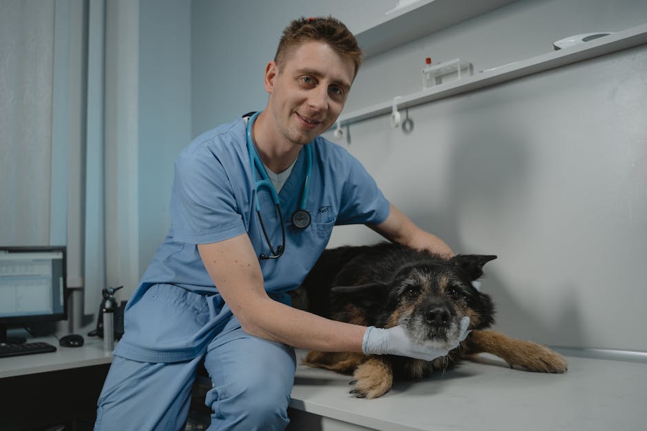 Best Foods to Support Your Dog Immune System