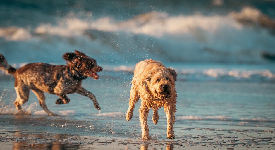 1. What Hawaiian dog names are inspired by the ocean?