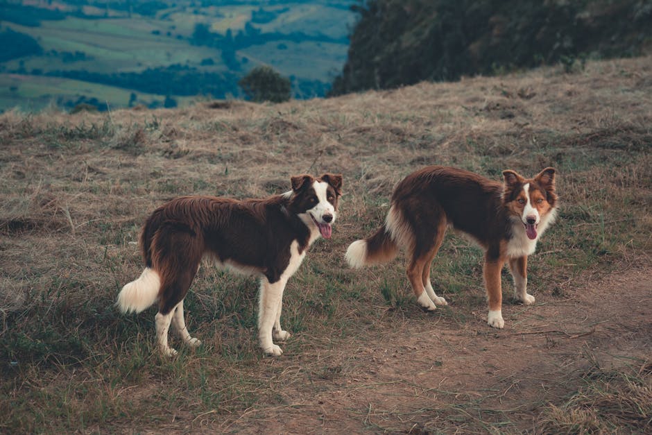 2. Which Hawaiian dog names are based on flora and fauna?