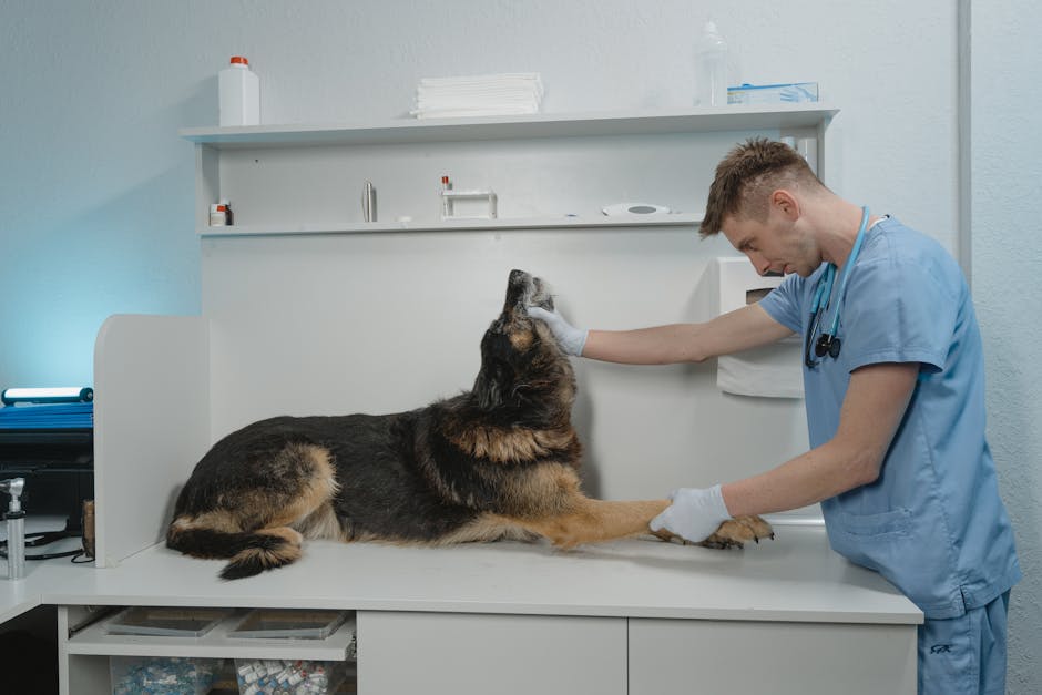 2. How to Restrain Your Cat Safely Without Getting Scratched?