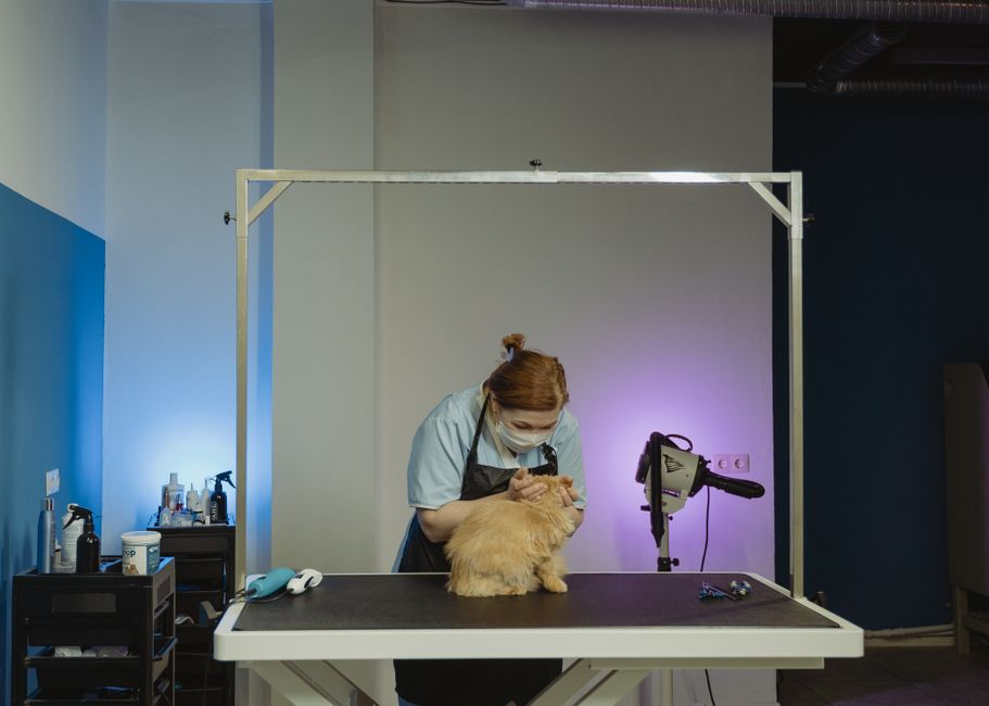 When Should You See a Veterinary Oncologist?