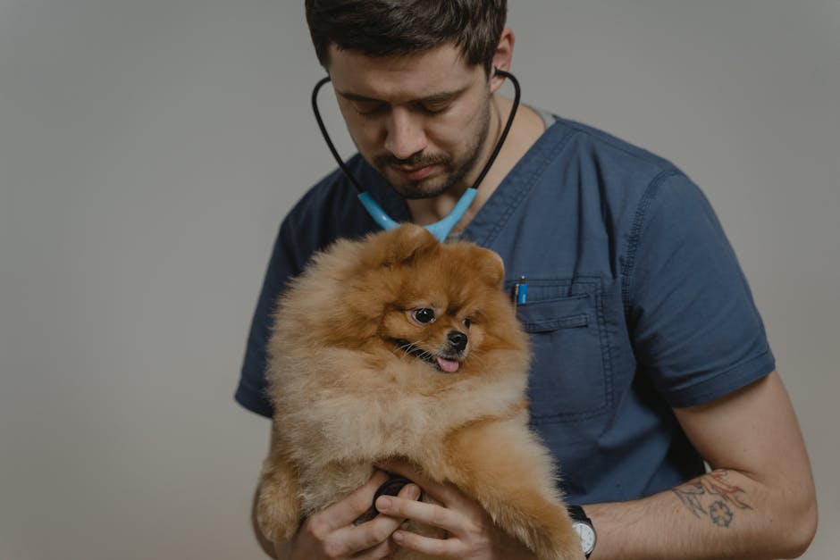 Best Deshedding Tools for Heavy Shedding Dogs Compared