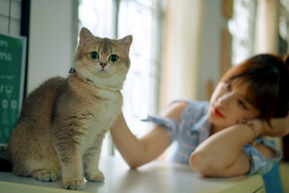 What Makes Instinct Cat Food Raw-Inspired Options a Top Choice for Your Feline?