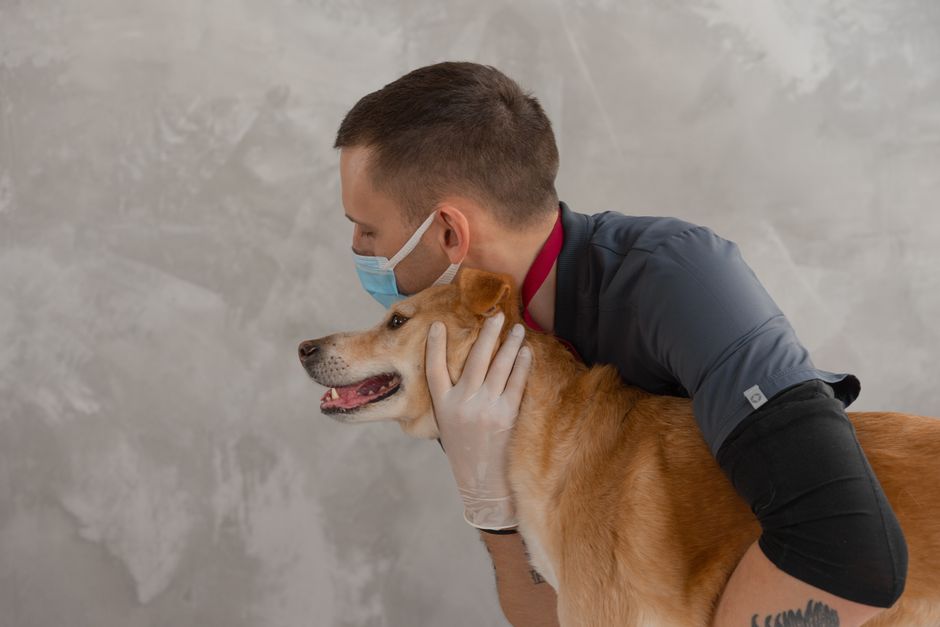 Which Wound Care Supplies Are Essential?