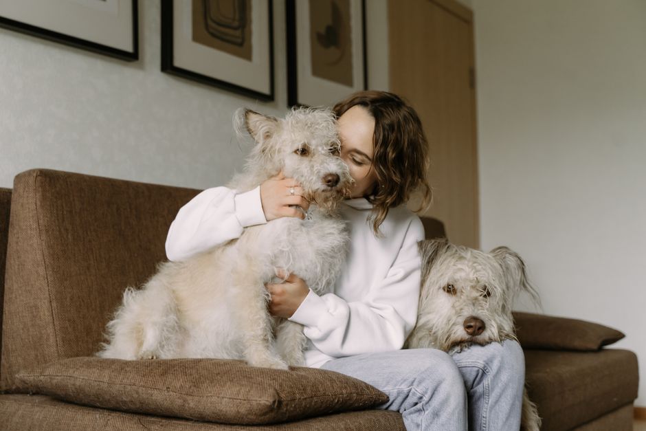 Understanding Anesthesia Risks for Dogs During Surgery