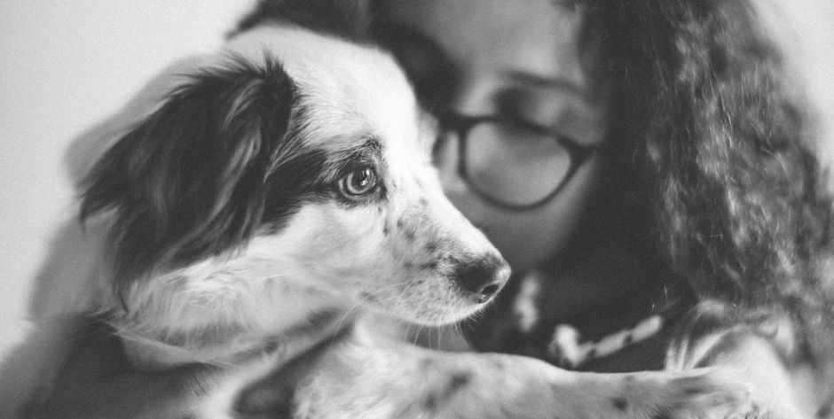 How Pet Insurance Handles Bilateral Conditions