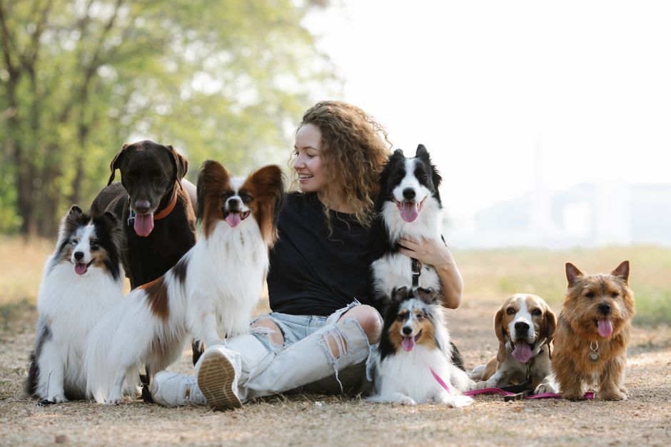 How does diet help manage canine diabetes?