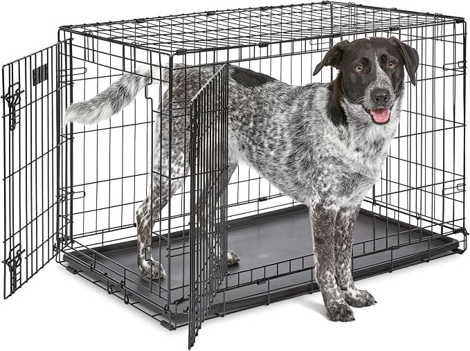 MidWest iCrate Double Door Dog Crate (36 inch)