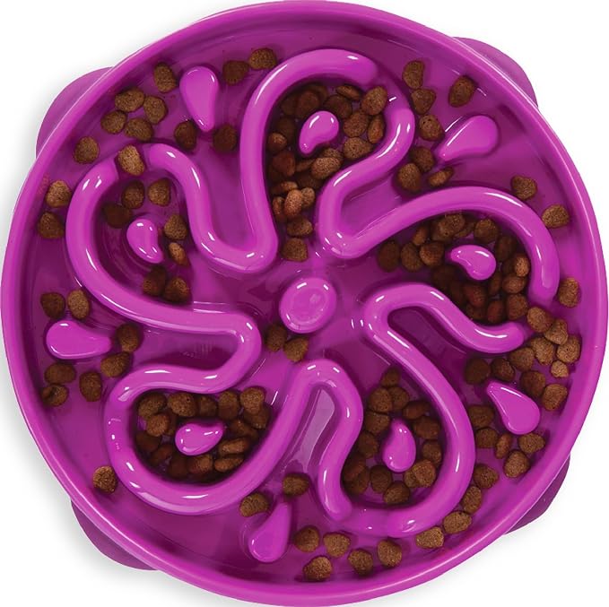 Outward Hound Fun Feeder Slow Bowl