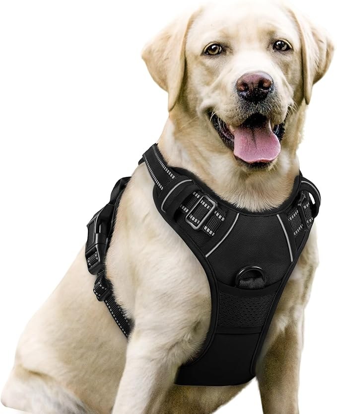 rabbitgoo No Pull Dog Harness Large Black