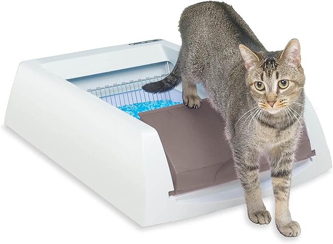 PetSafe ScoopFree Self-Cleaning Litter Box (2nd Gen)