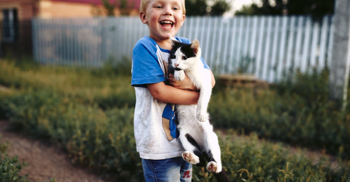 Cats and Children: Teaching Kids to Respect Cats