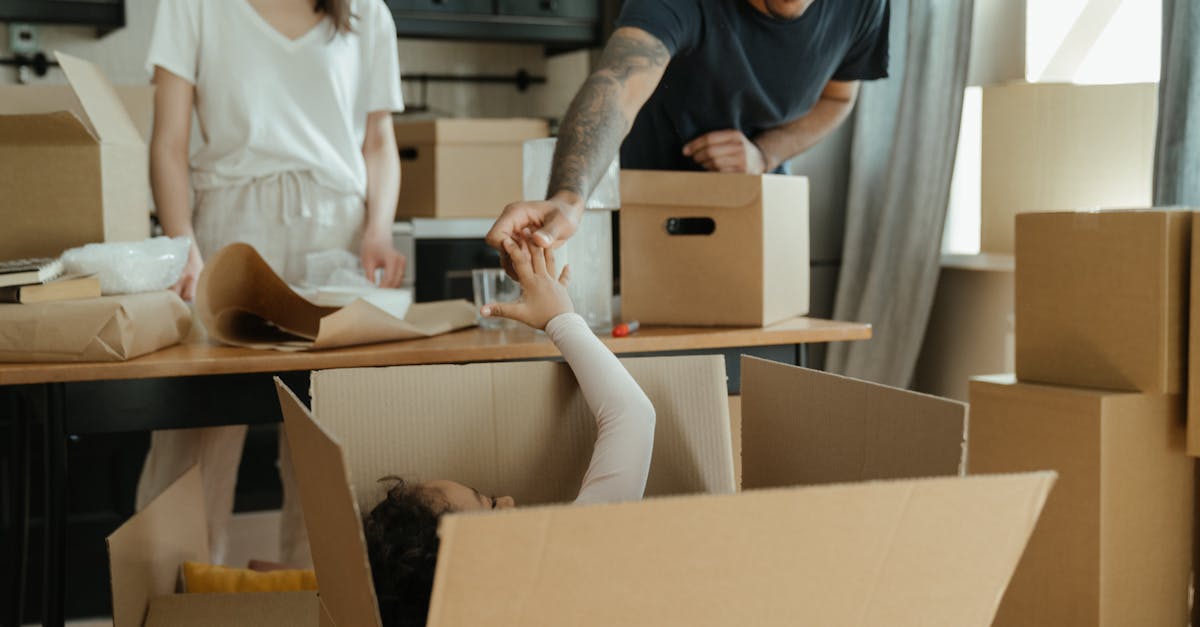 Moving with Cats: Reducing Stress During Relocation