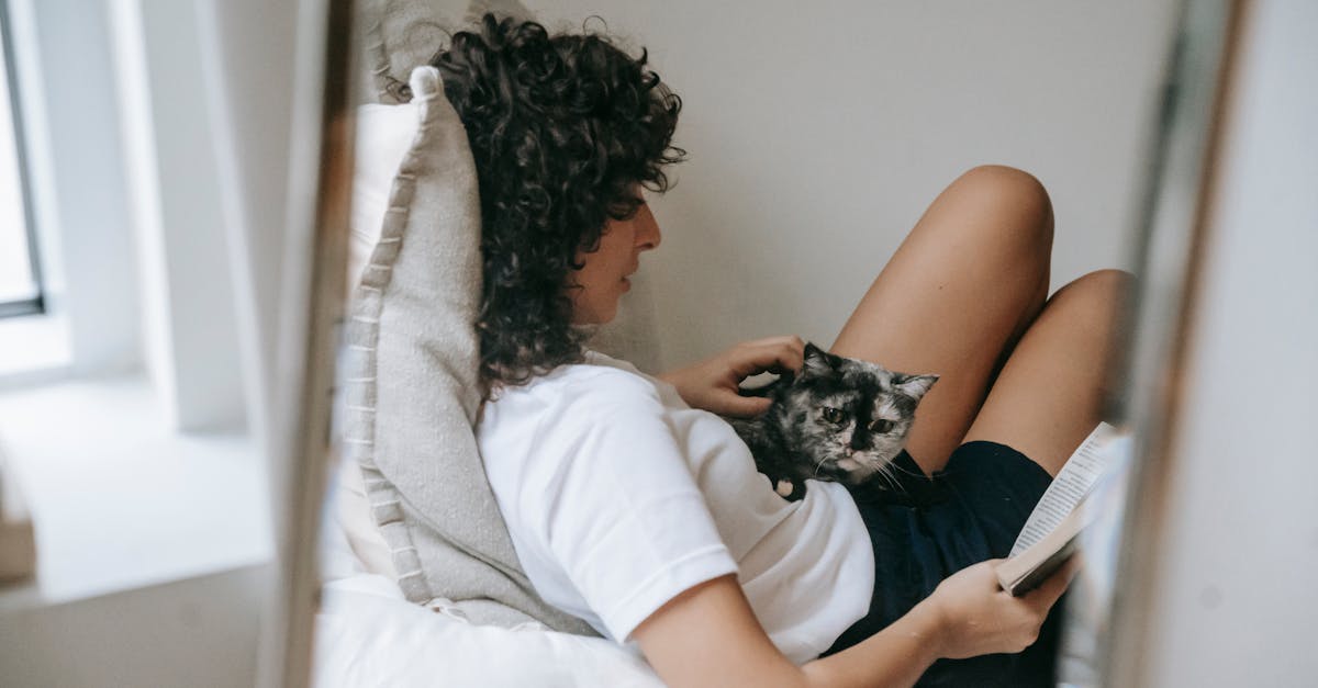 Best Cat Breeds for First-Time Owners