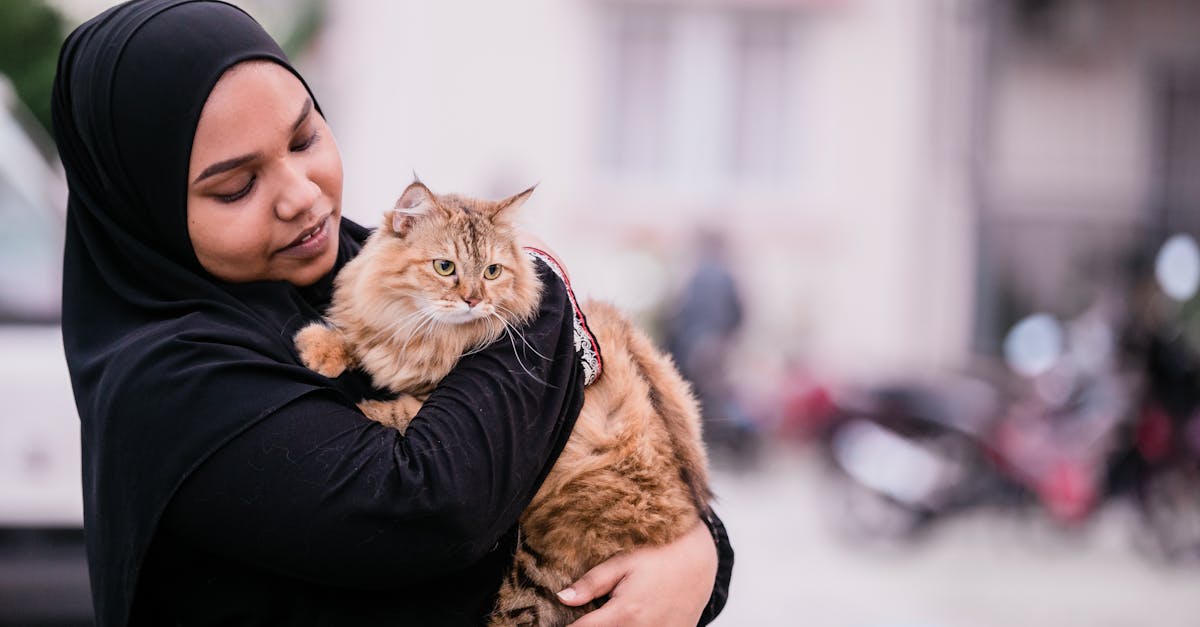 How to Choose the Right Cat Breed for Your Lifestyle