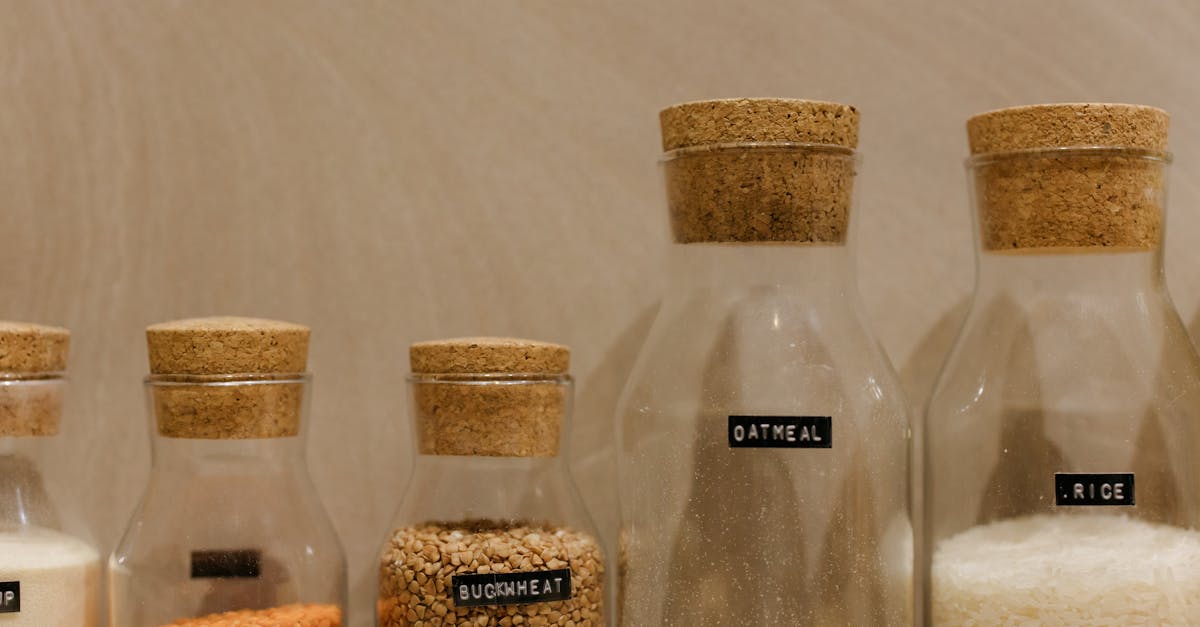 Understanding Cat Food Labels: What Every Ingredient Means