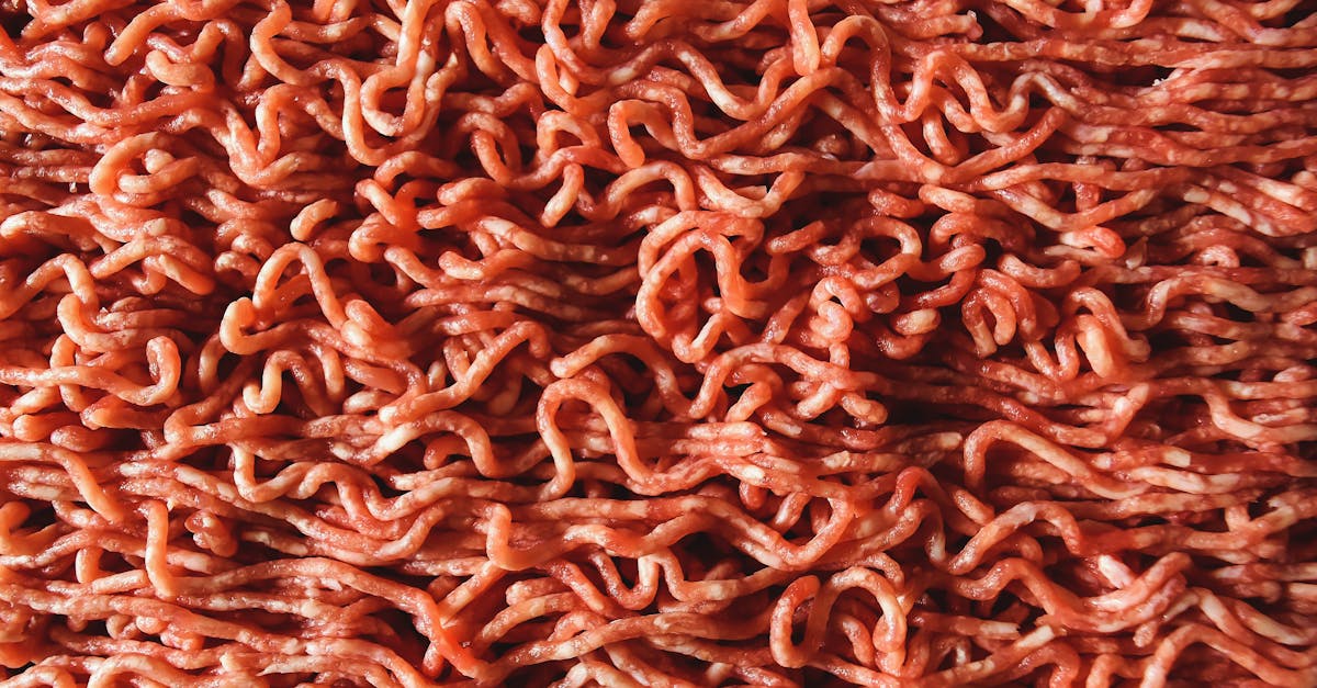 Raw Cat Food Diet: Benefits, Risks, and How to Start