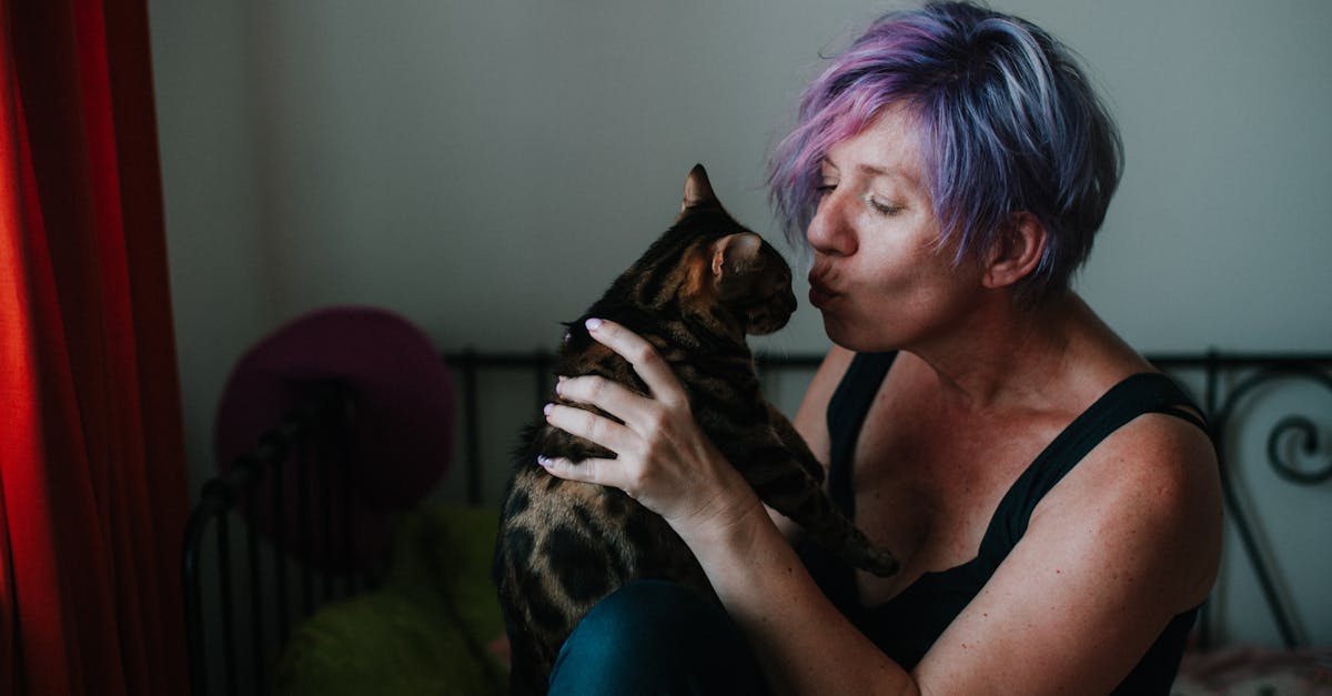Cat Allergies in Humans: Living with Cat Allergies
