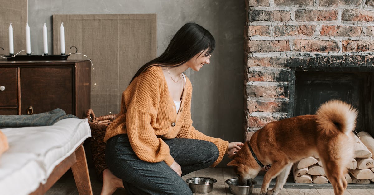 Dog Food for Picky Eaters: Solving Food Refusal