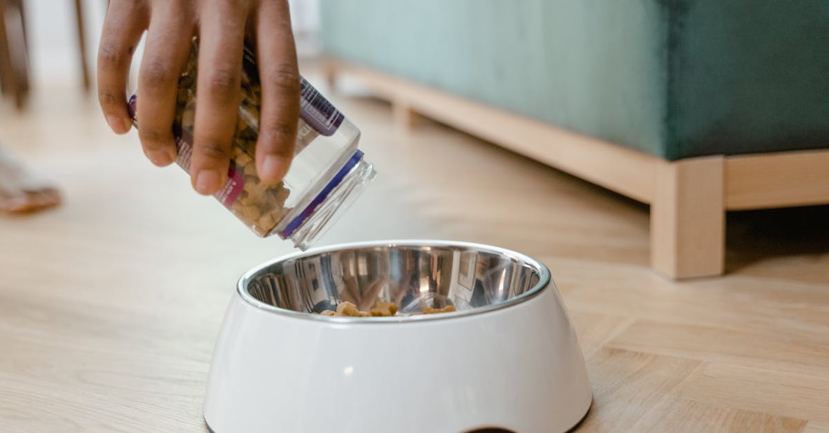 Probiotics for Dogs: The Complete Science-Based Guide