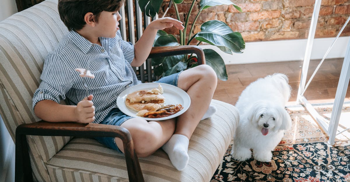 Toxic Foods for Dogs: The Complete Poison Prevention Guide