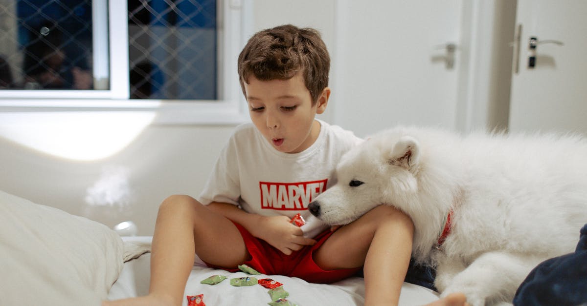 200+ Best Male Dog Names for 2025