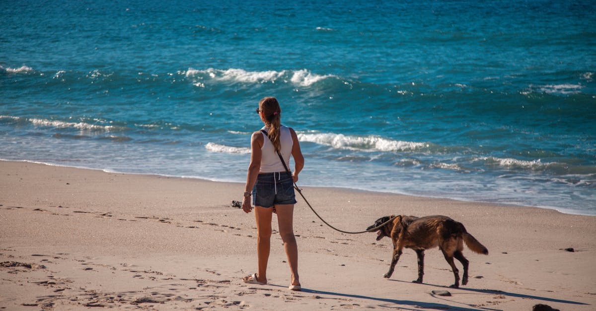 Hawaiian Dog Names: 60+ Island-Inspired Names