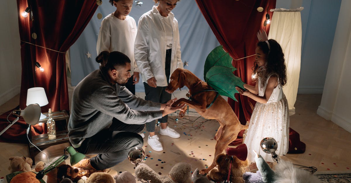 Pop Culture Dog Names: Movies, TV Shows, and Video Games