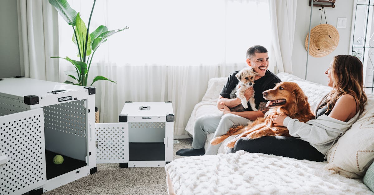 Crate Training: Building Your Dog's Safe Space