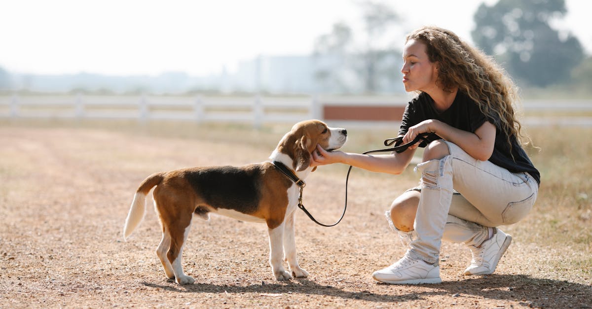 Dog Body Language: Reading What Your Dog Is Really Saying