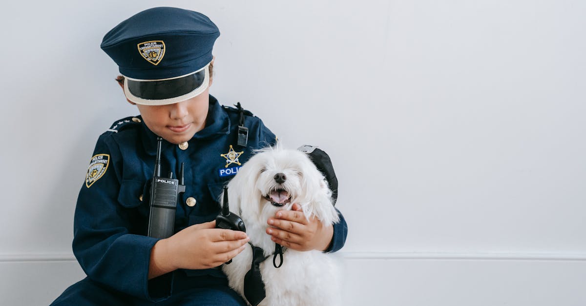 Preventing Dog Bites: A Safety Guide for Families