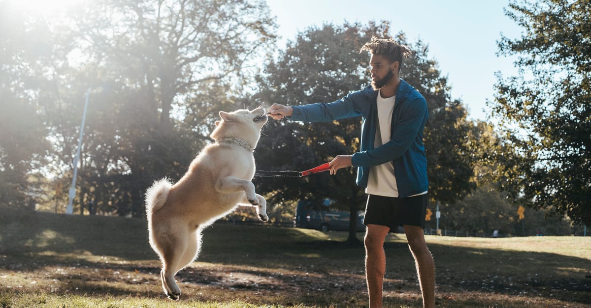 How to Stop Your Dog from Jumping on People