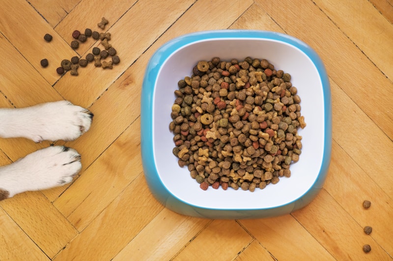 Hill's Science Diet Adult Dog Food